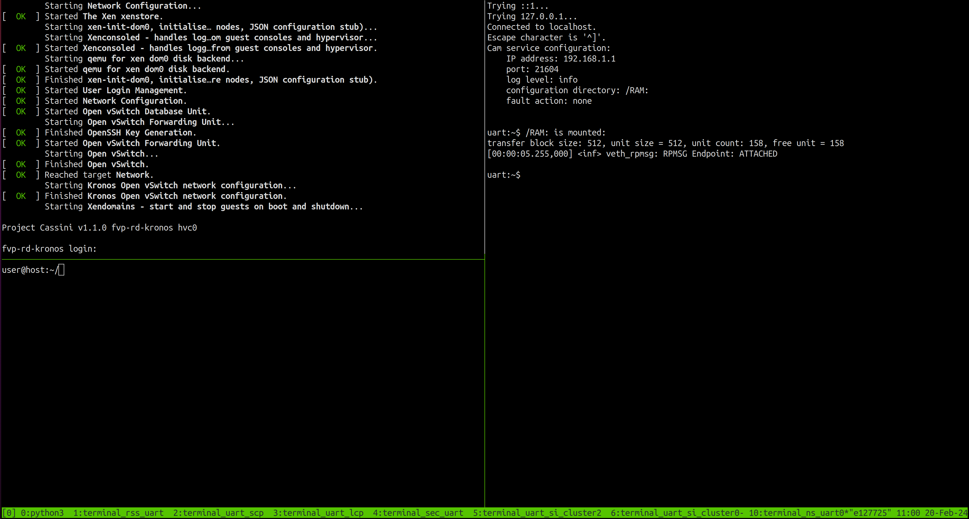 Critical Application Monitoring Demo Reproduce Startup for Virtualization